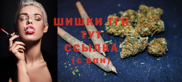 СК Алзамай